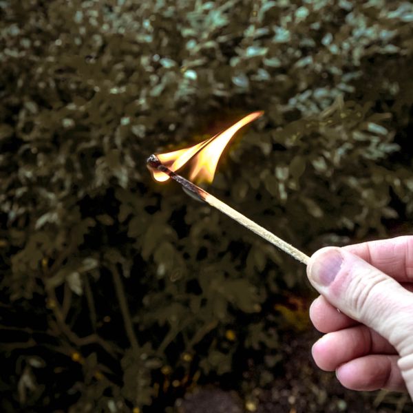 UCO_Long_Burn_Matches-Built_for_Emergencies_Ideal_for_hurricane_kits_blackout_prep_and_off-grid_fire_starting