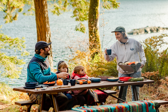 Best Portable Grill for Camping, Tailgating & Backyard BBQs