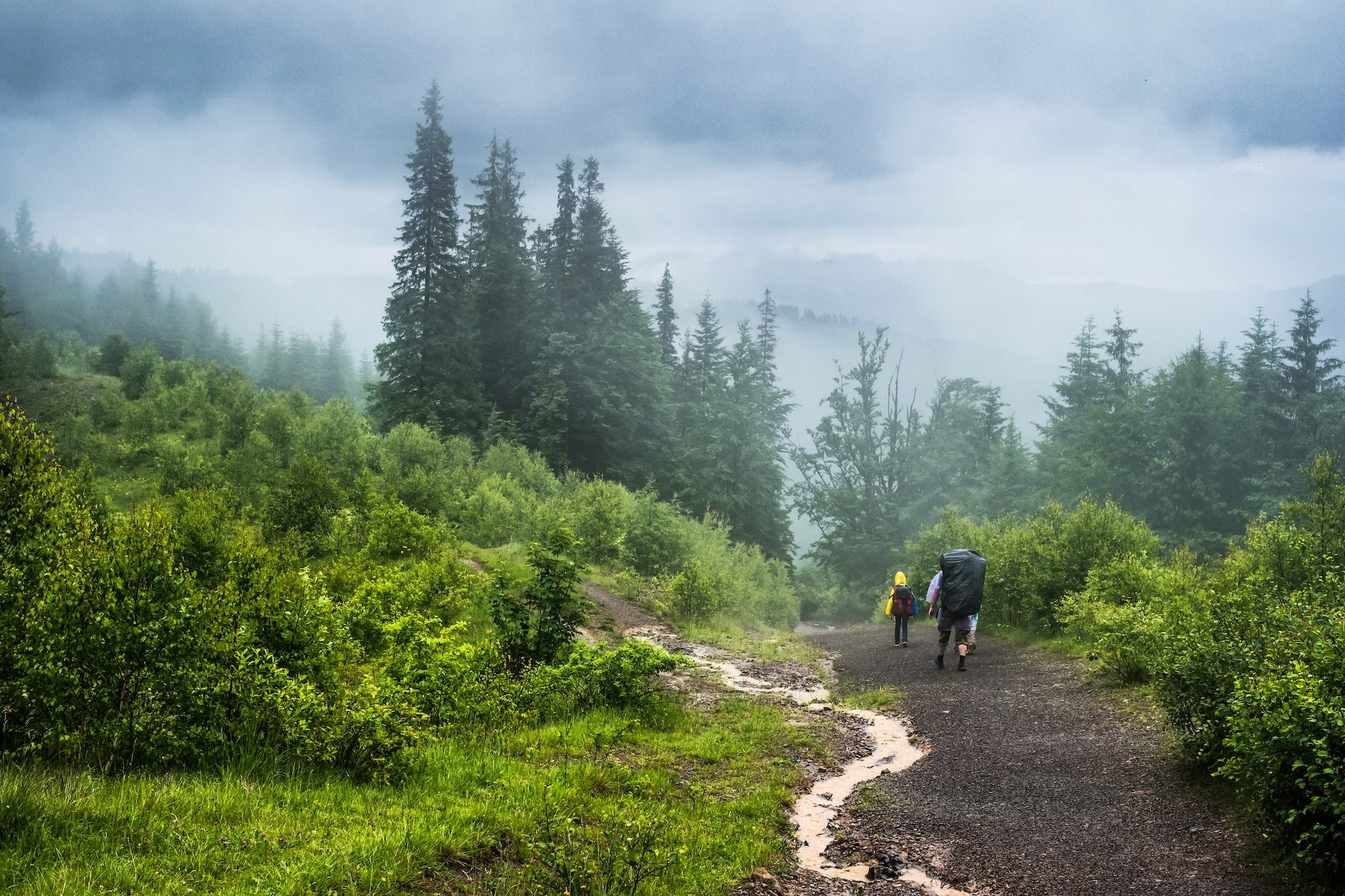 PNW_Rainy_Day_Camping_UCO