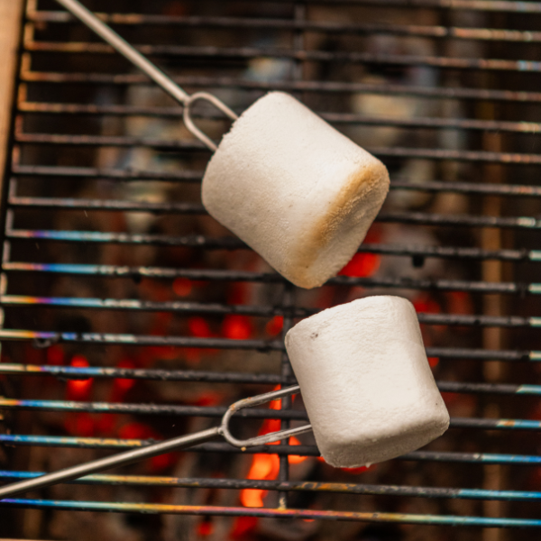 Grill, Cook & S’mores Kit